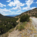 homes for sale tijeras nm